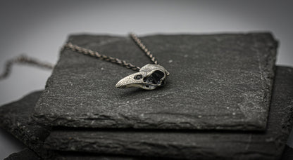 Raven skull pendant, Viking, goth silver necklace,