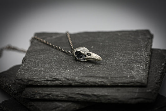 Raven skull pendant, Viking, goth silver necklace,