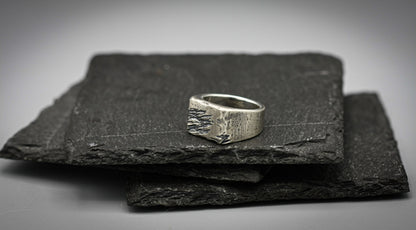 Rough Brutalist silver signet ring