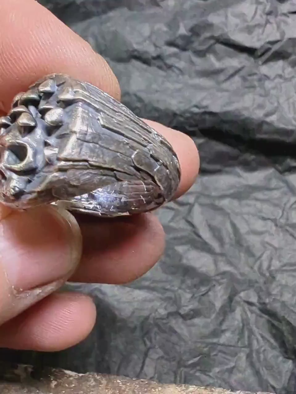 Silver skull mushroom ring, unique 925 band